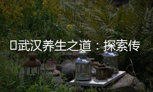 武汉品茶网：茶道之旅，逐梦红尘